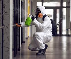 Best Comprehensive Air Testing for Mold Contaminants  in Southside Place, TX